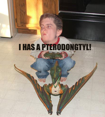 pterodongtyl.jpg