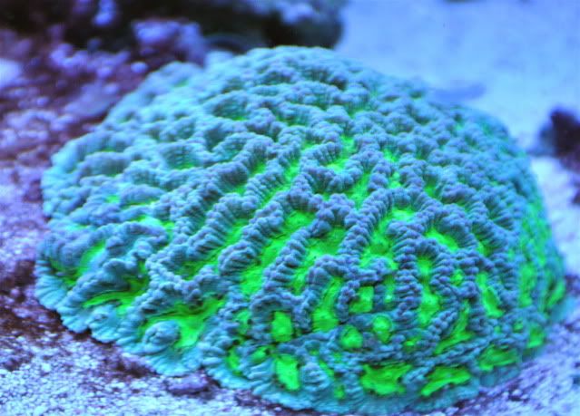 edfc5800.jpg