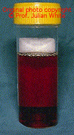 pcd022.gif