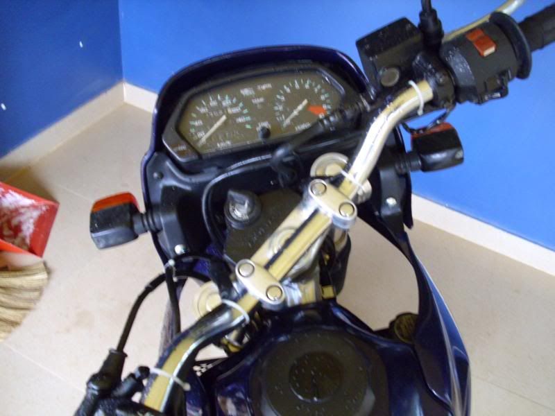 DSCI0867.jpg