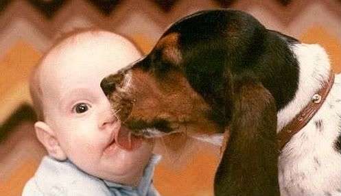 doggie.jpg
