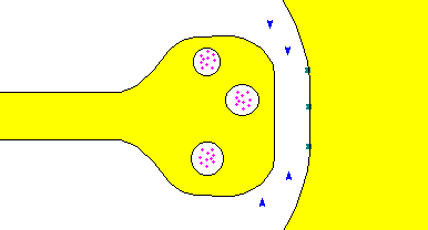 Cs1u.gif