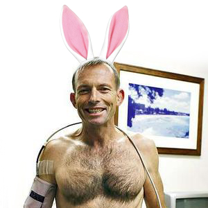 tony_abbott_bunny.jpg