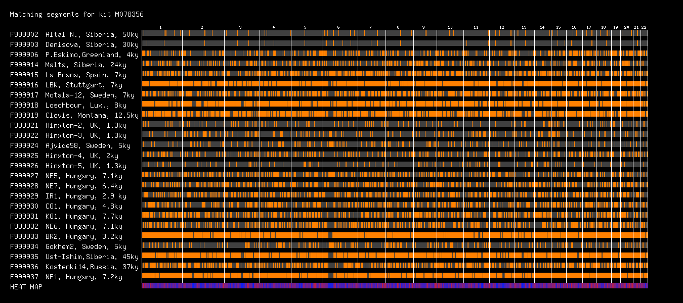 archaic_M078356_EB45661.gif