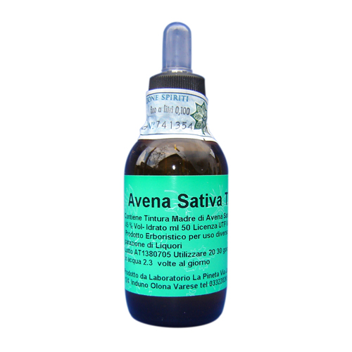 avena_sativa.jpg