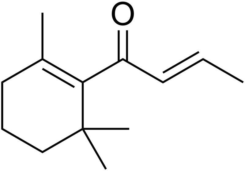 800px-Damascone.png