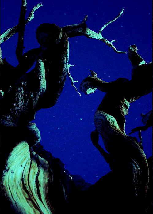 tumblr_mgn52pl4hI1qg39ewo1_500.gif
