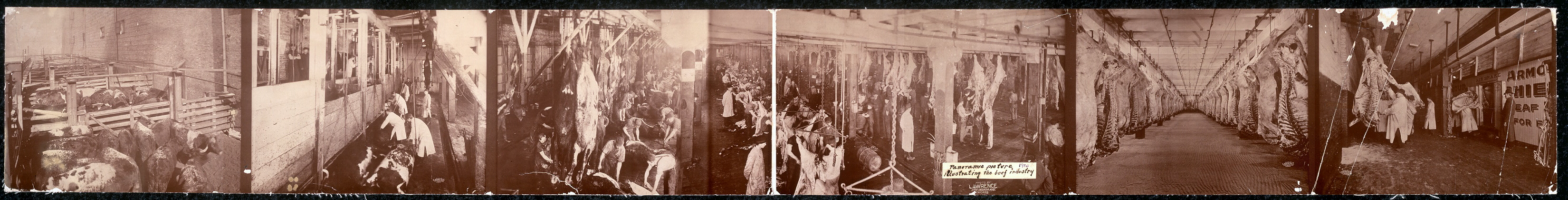 Beef_industry_panorama_1900_loc.jpg