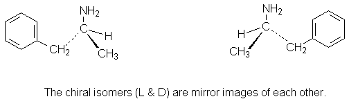 amphisom.gif