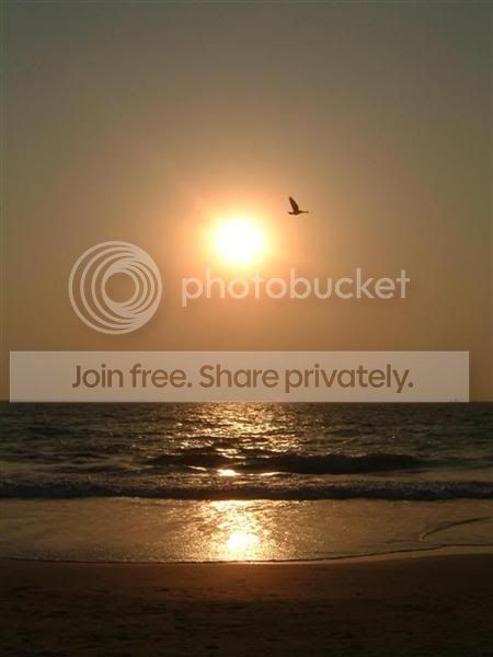 EagleSunsetoverArabianSea.jpg