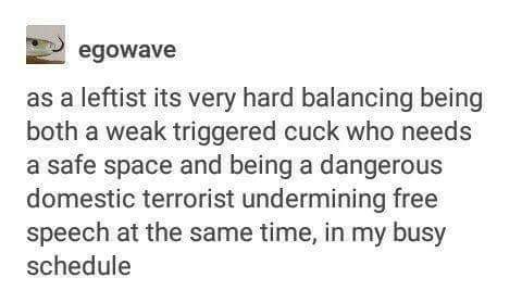leftist.jpg