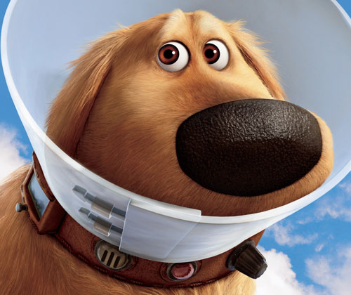 up_dog.jpg