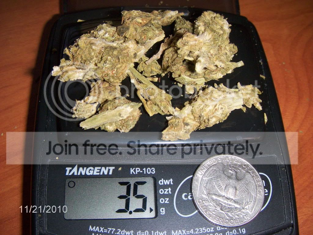 HPIM4856.jpg