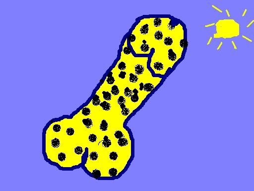 yellowpolkadotwilly.jpg