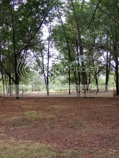site2.jpg