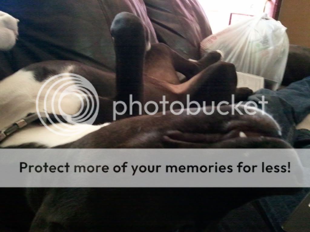 2011-05-10124538.jpg