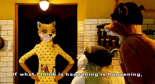 tumblr_mk31laQpqe1rb528ko1_500.gif