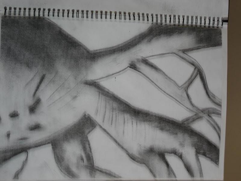 treesketch.jpg