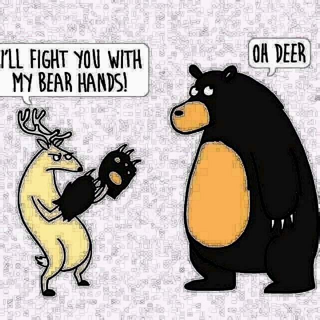 jvbaWNp.jpg