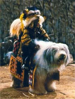 didymus.jpg