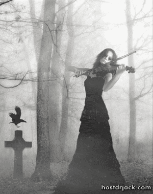 z-violin.gif