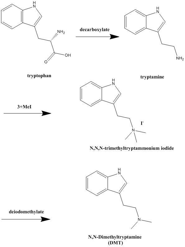 DMT-ex-TRP.jpg