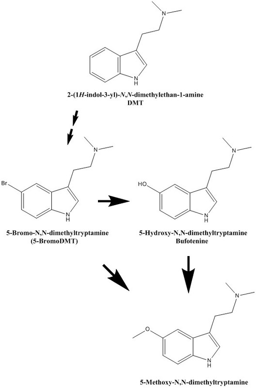 DMT-derivatives.jpg