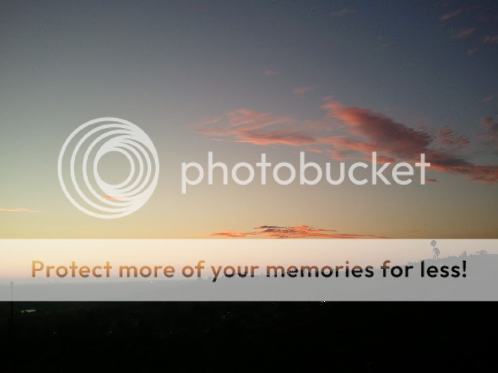 2011-08-22193411.jpg