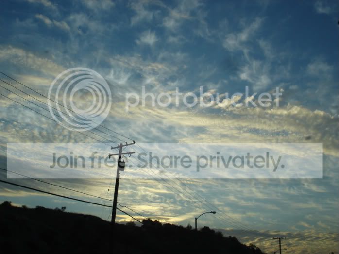 DSC04002.jpg