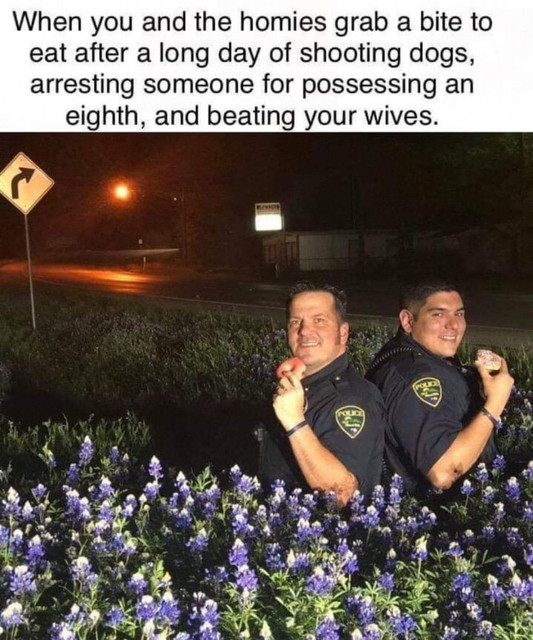 56420985-641899882902048-1321603093867003904-o.jpg