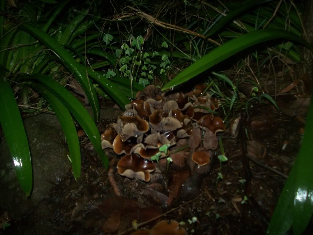 100_4886.jpg