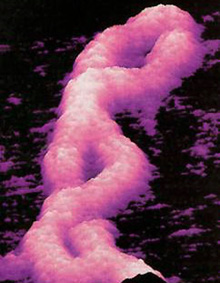 dna_molecule.jpg