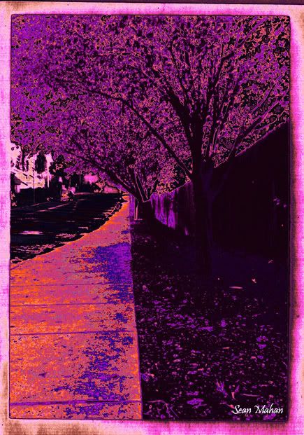 LeaningTree_colorcopy-1.jpg