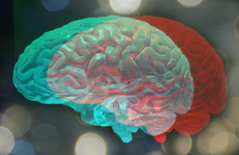 neurosciencenews.com