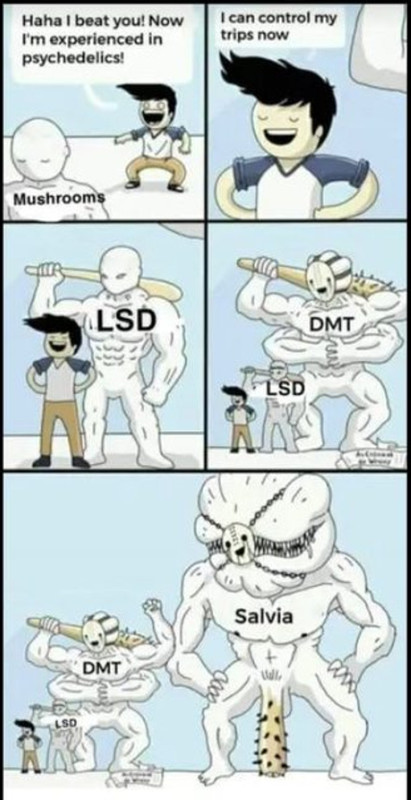 d-Mk-SMRGl.jpg