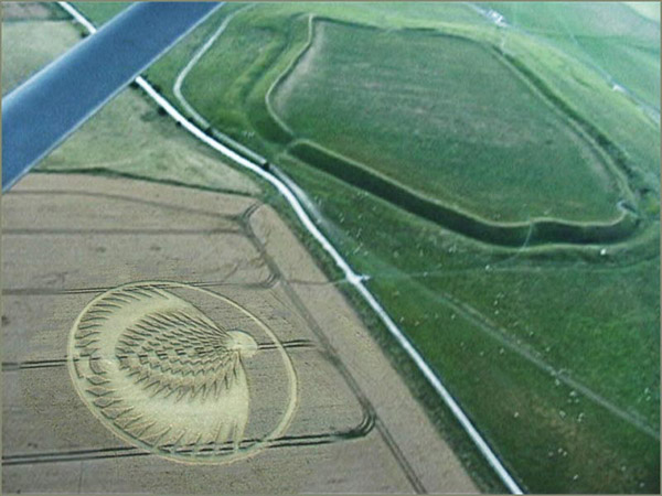 06-07-08-UffCircle-comp.jpg