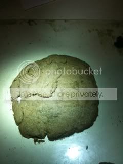 0aee6186.jpg