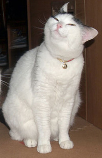 tumblr_nym0waRcWk1qkb1m6o1_400.jpg