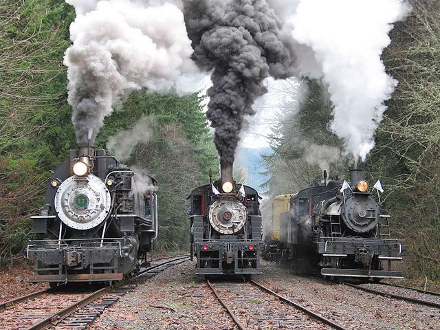 train8.jpg