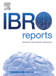 www.sciencedirect.com