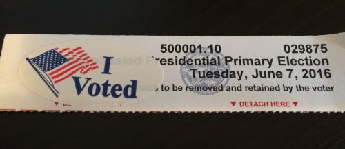ivoted01.jpg