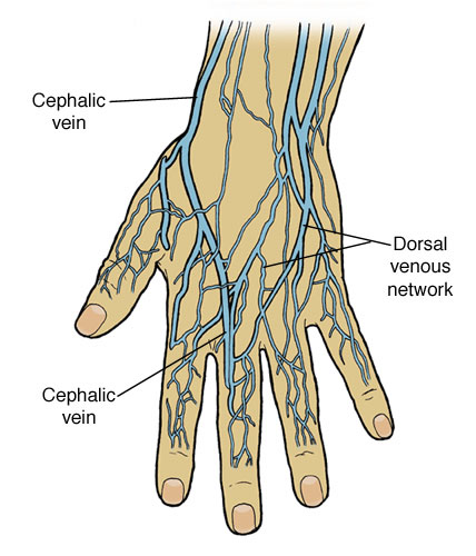 hand_veins_injectionc.jpg