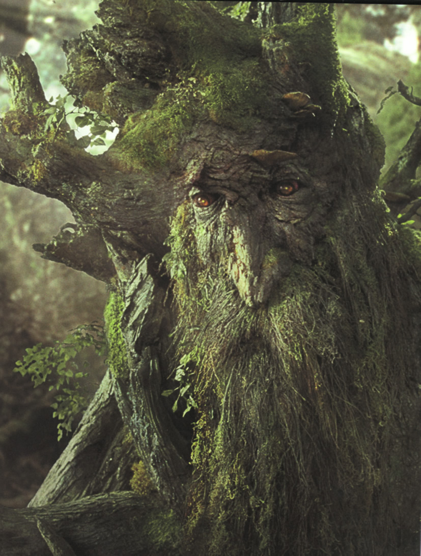 treebeard62106.jpg