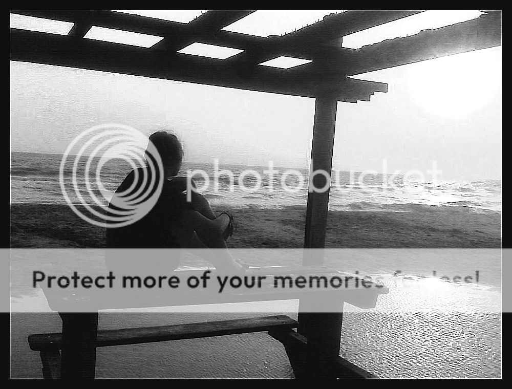 86878-Copy-Copy.jpg