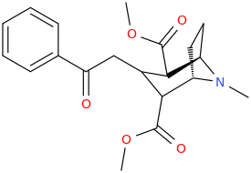 2,4-di-carbomethoxy-3-(2-phenyl-ethan-2-onyl)-tropane.png