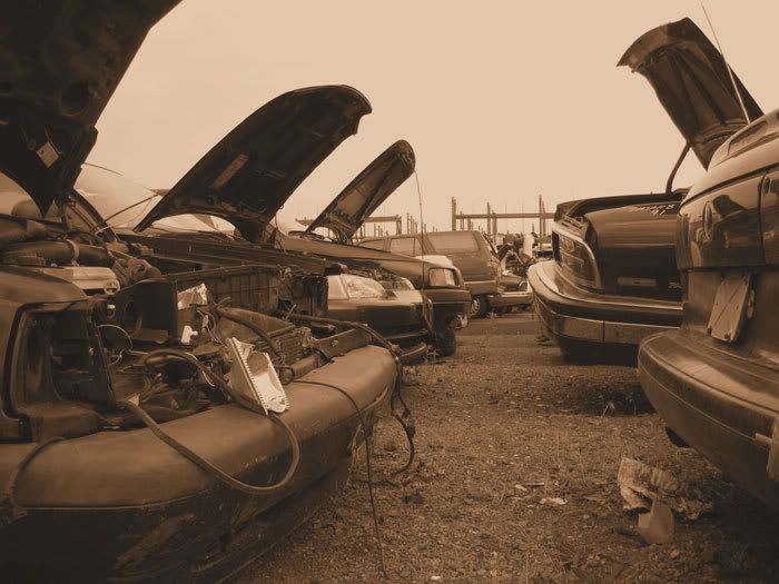 abandonedcars3.jpg
