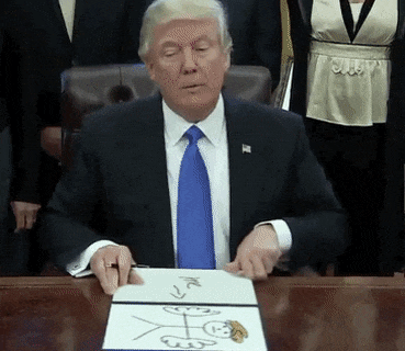 N5dHbXF.gif