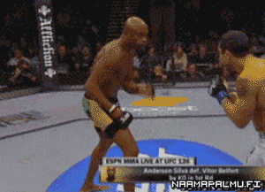 giphy.gif