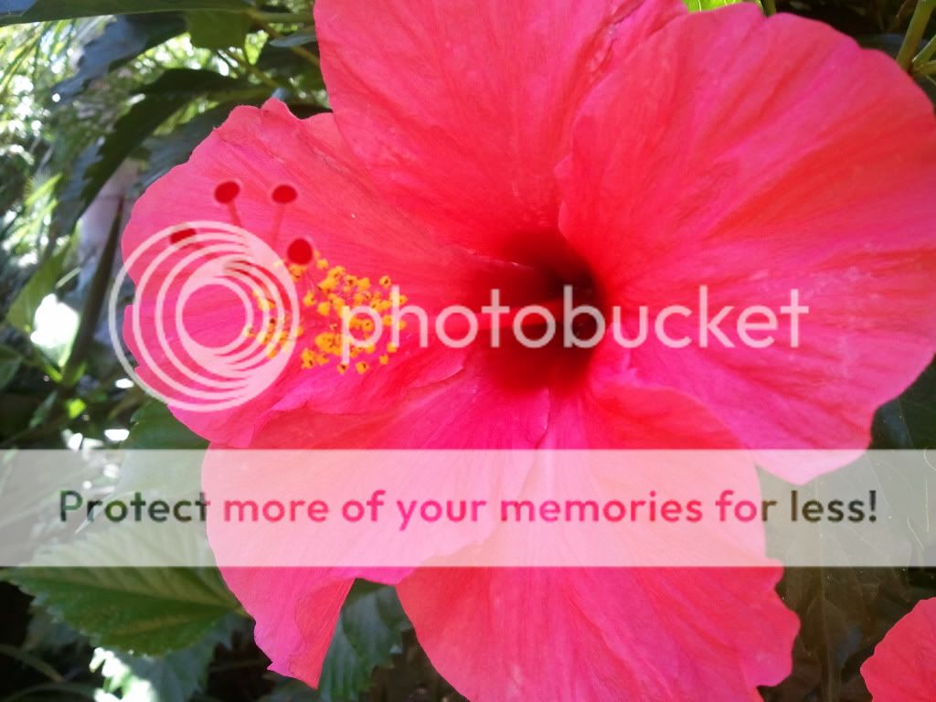 2011-08-29145748.jpg