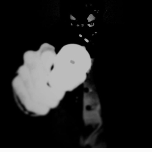 soundcloud.app.goo.gl